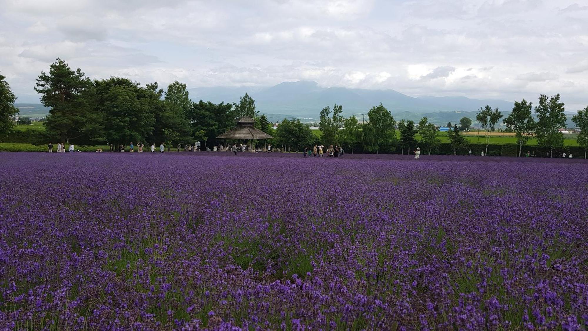 Furano B&B Buitenkant foto