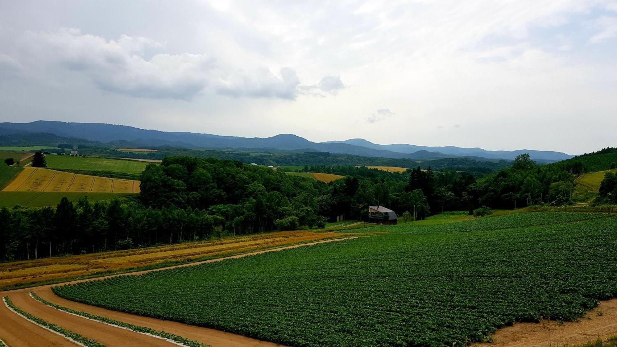 Furano B&B Buitenkant foto